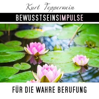 Bewusstseinsimpulse für die wahre Berufung - Kurt Tepperweink, Audio, 4250701997475
