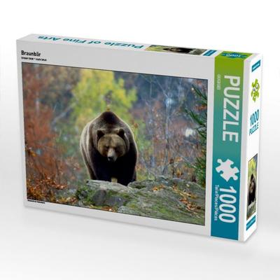 CALVENDO Puzzle Braunbär | 1000 Teile Lege-Größe 64x48cm Foto-Puzzle für glückliche Stunden