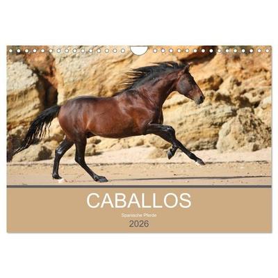 Caballos Spanische Pferde 2026 (Wandkalender 2026 DIN A4 quer), CALVENDO Monatskalender