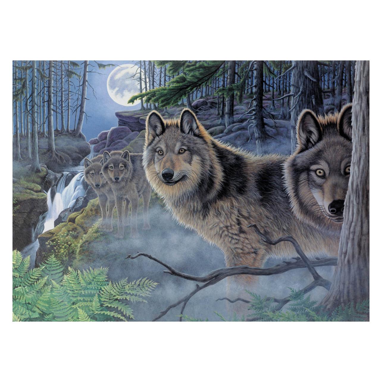 Magni PRACHT Malen nach Zahlen Wölfe 40x32,5cm (58523402)