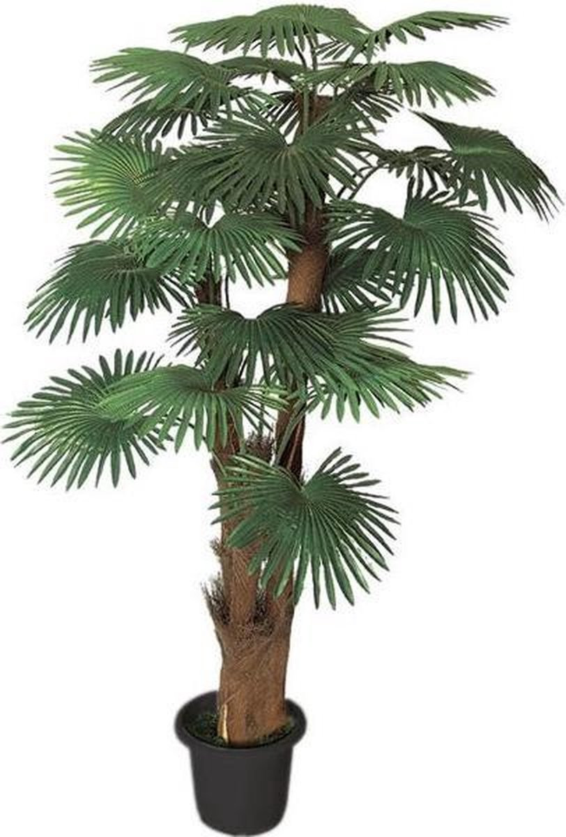 Decovego Kunstmatige Waaierpalm - 180 cm