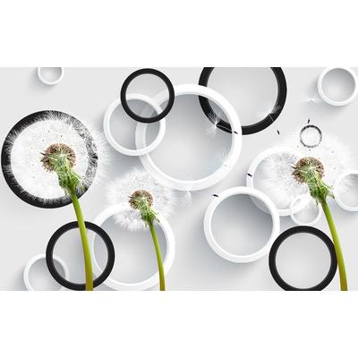 Fototapete PAPERMOON "Muster mit Pusteblumen, Ringe", bunt, B:2m L:1,49m, Vlies, Tapeten