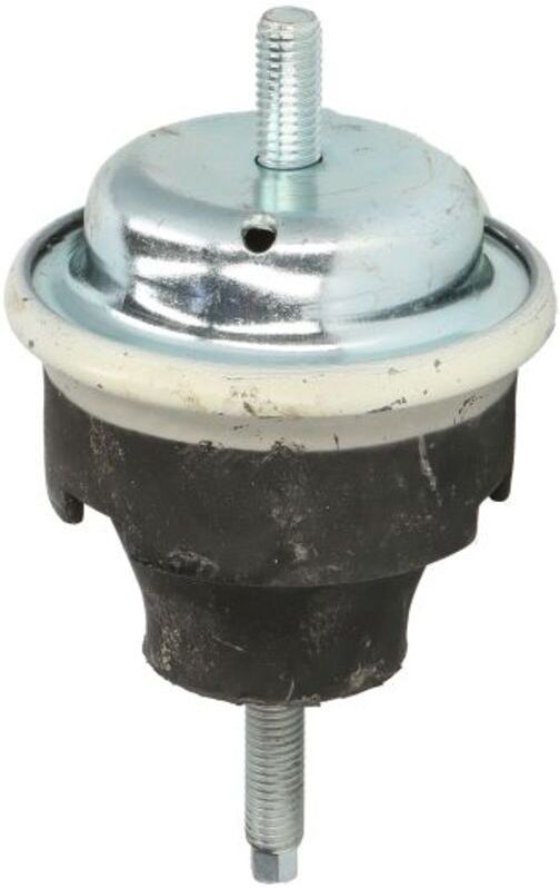 Reinhoch Supporto motore RH11-2226