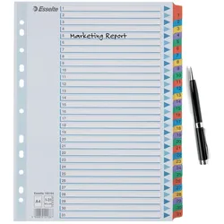 Esselte Ordnerregister Vollformat 1-31 DIN A4