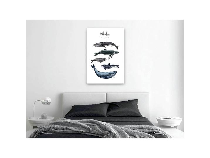 Tableau déco Whales Lin Blanc 40 x 60cm