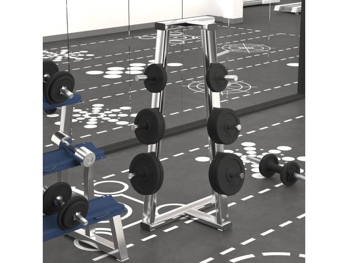 vidaXL Hantelscheiben 6 Stk. 30 kg Gusseisen