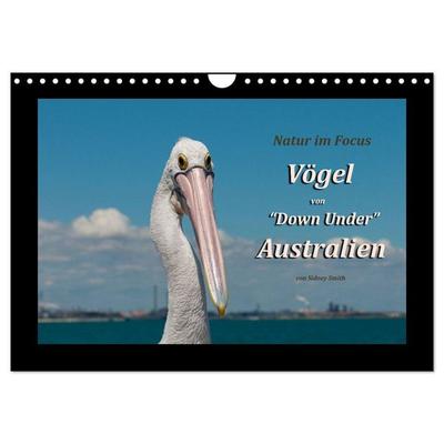 Vögel von 'Down Under' Australien (Wandkalender 2026 DIN A4 quer), CALVENDO Monatskalender