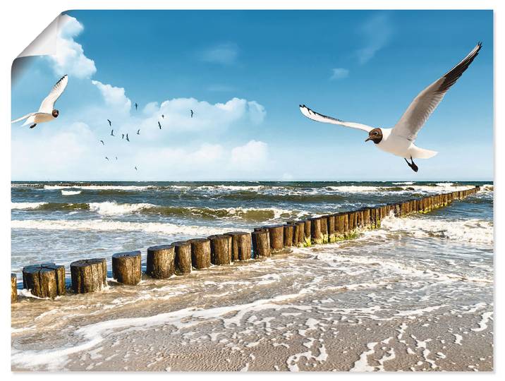 Artland Ostsee Gewässer 1 Stk. tlg. als Leinwandbild, Poster in verschied. Grössen