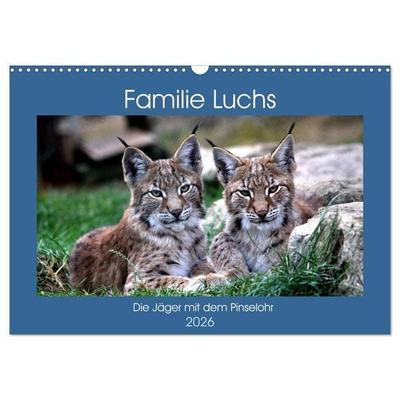 Familie Luchs - Die Jäger mit dem Pinselohr (Wandkalender 2026 DIN A3 quer), CALVENDO Monatskalender
