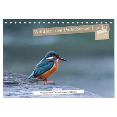 Wildtiere des Paderborner Landes (Tischkalender 2027 DIN A5 quer), CALVENDO Monatskalender