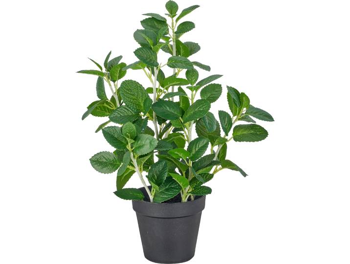 Kunstpflanze CREATIV GREEN Apfelminze , grün, H:40cm, Obermaterial: 100% Kunststoff, Kunstpflanzen, Kunstpflanze, in niedlicher Größe