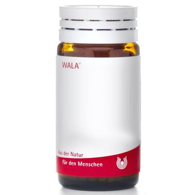 Apis Bryonia Globuli 20 g