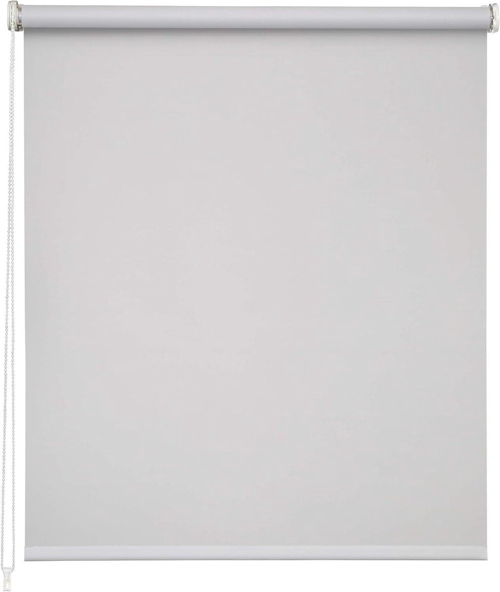 Rolgordijn Daglicht Grijs - Lichtdoorlatend en UV-beschermend - 175 x 250 cm