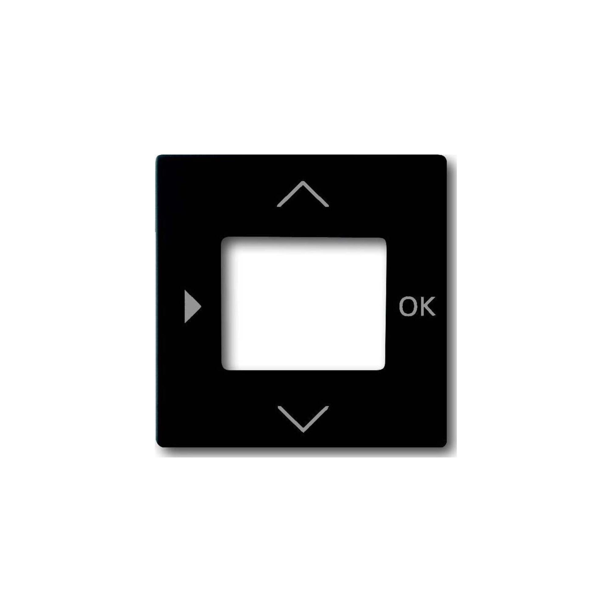 Busch-Jaeger Zentralscheibe Timer Bedienelement 6435-885 (2CKA006430A0389)