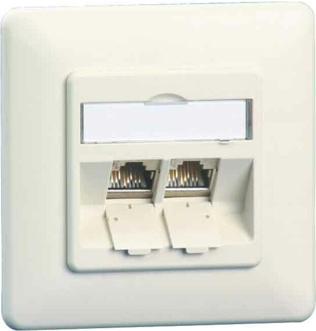 BTR NETCOM Boîte de connexion C6A module encastré 2 ports 180°, blanc TN C6Amod-2UP-180rw ; Metz Connect (130B11D21002E90)