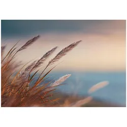 FOTOTAPETE Gras Natur Beige 200x140 cm
