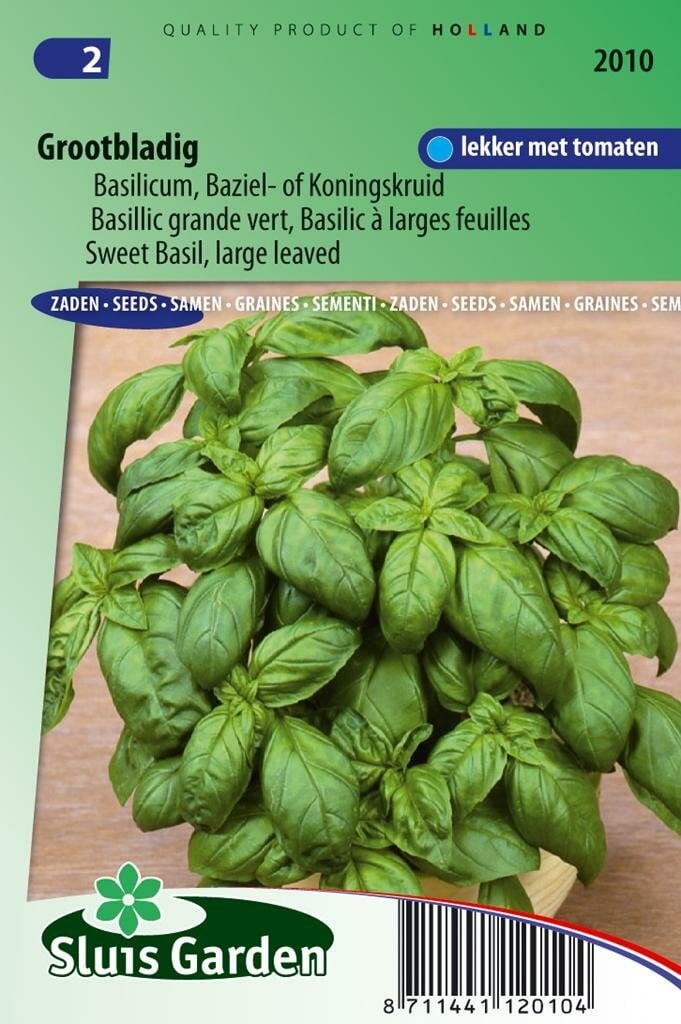 Sluis Garden Basilicum zaden grove Ocimum Basilicum