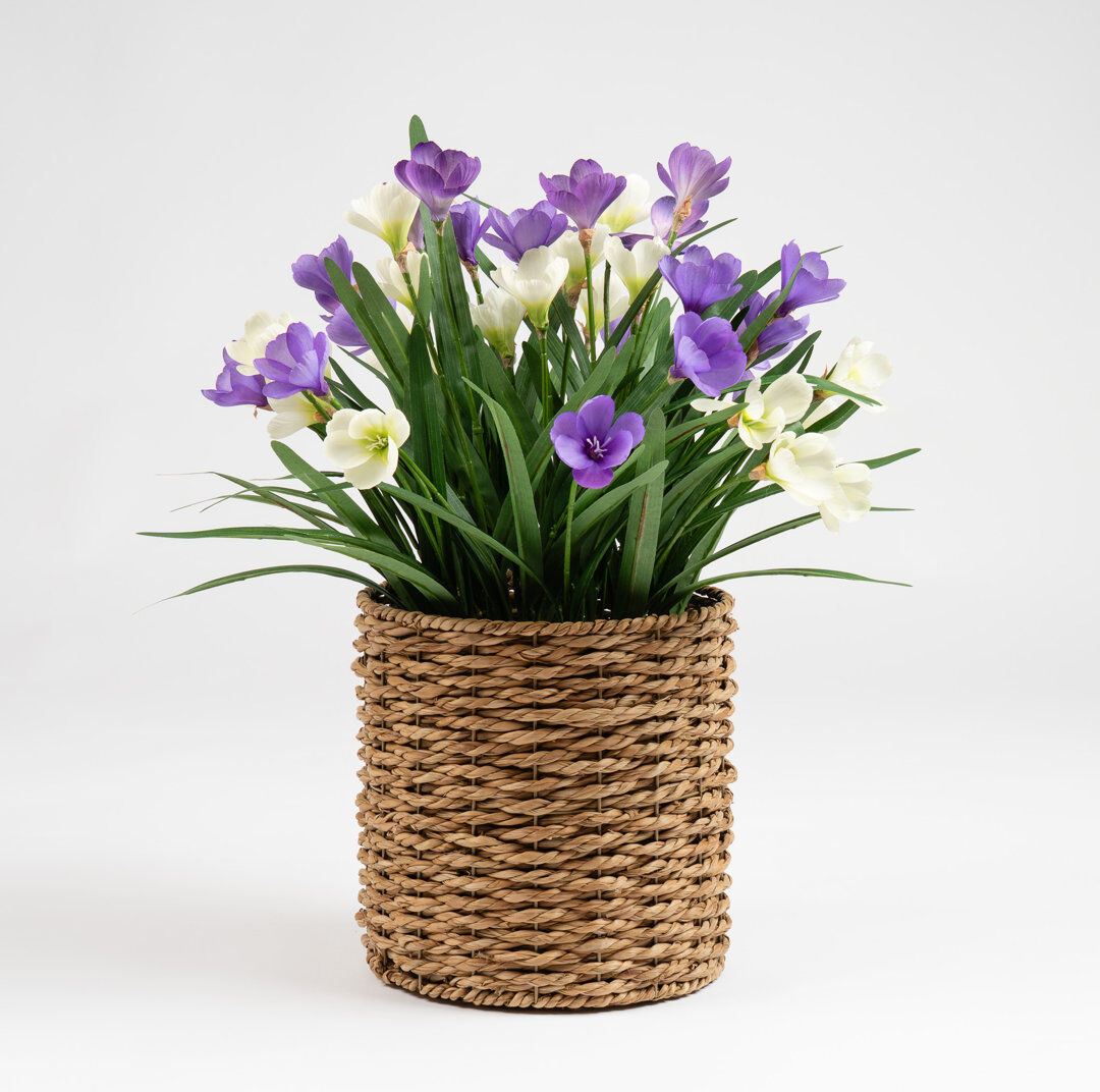 The Seasonal Aisle 58cm Faux Crocus in Seagrass Basket Purple 58cm H X 52cm W X 52cm D