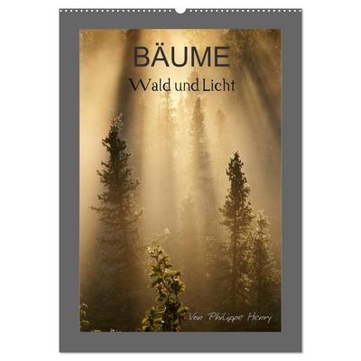 BÄUME (Wandkalender 2027 DIN A2 hoch), CALVENDO Monatskalender