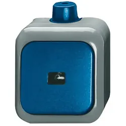 Busch-Jaeger Wipptaster Schliesser 1pol. AP 2621 WDI