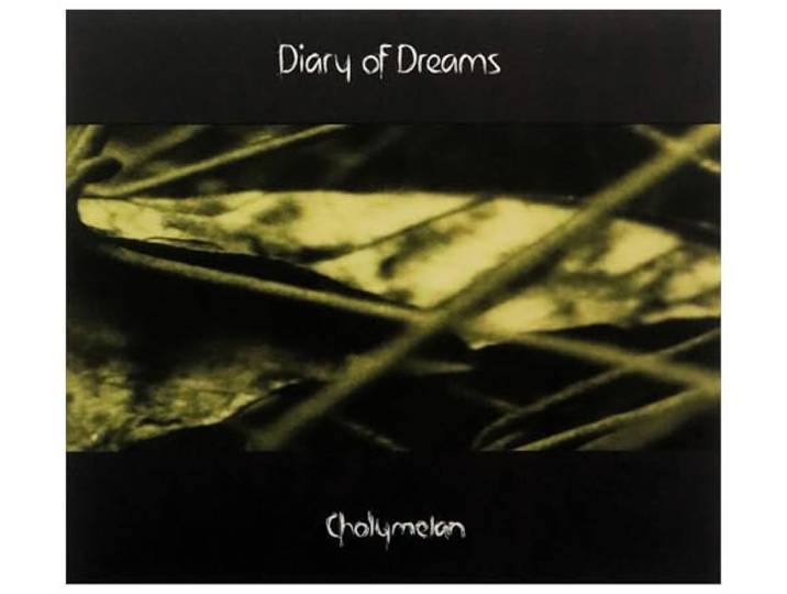 Diary Of Dreams - Cholymelan