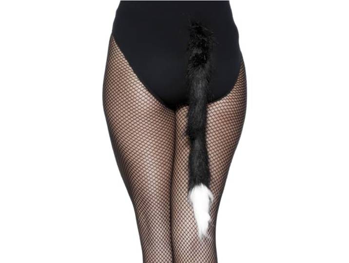 Cat's Tail