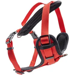Duvoplus Y Classic (S, Hund, Hundesport, Jogging, Spazieren), Halsband + Leine