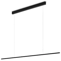 Helestra LED-Pendelleuchte Loopy Alu, Eisen, Stahl & Metall Schwarz