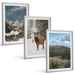 BILDER SET 3er Set - 40x60 cm Silberner Rahmen - Berge, Schnee, Hirsche, Waldlandschaft