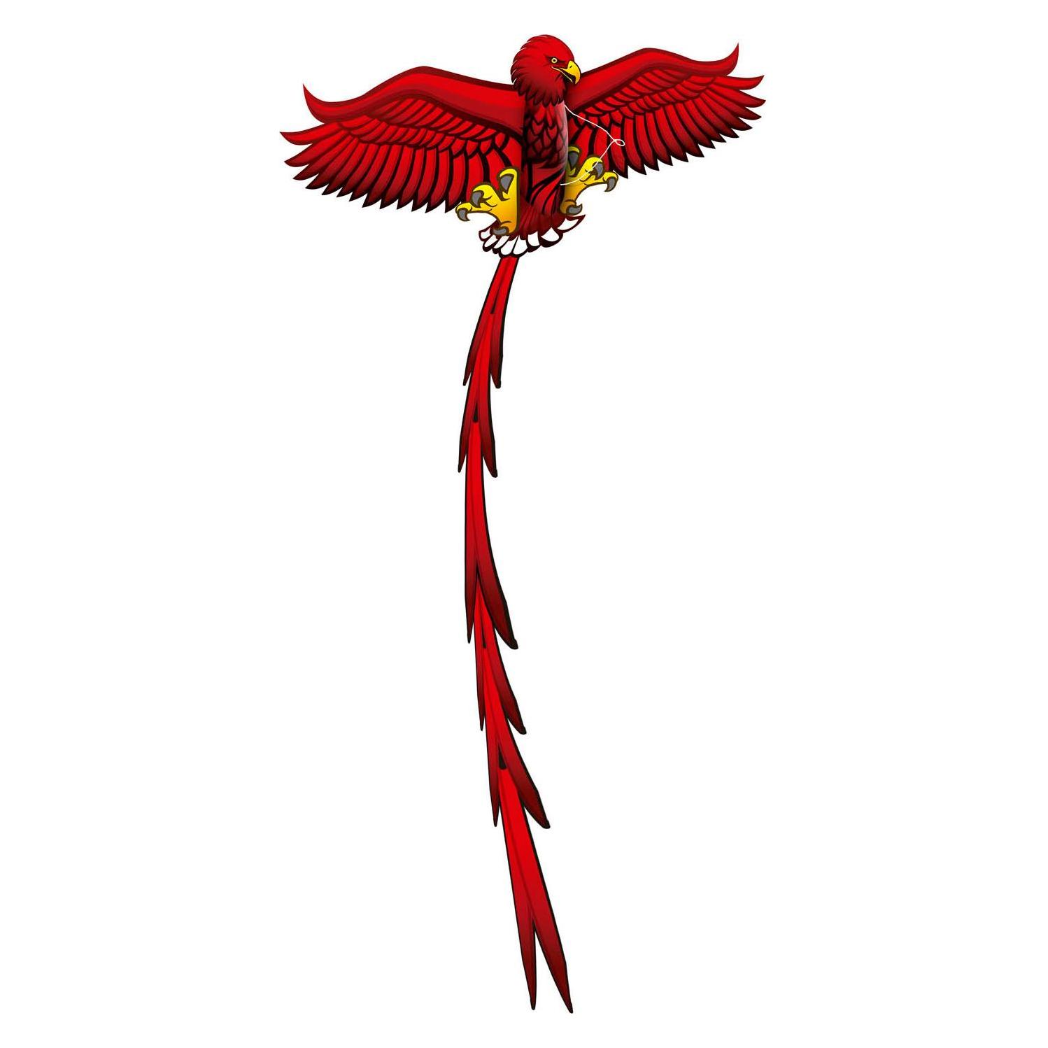 Eolo Kites Ready 2 Fly - Pop-up-3D-Drachenadler (24959553)