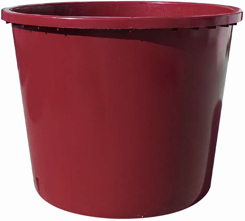 Polsinelli Mastellone Vinaccia in Plastica da 750 L