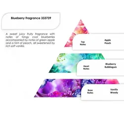 Blueberry Fragrance 250g