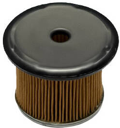 FRAM C5563 Kraftstofffilter