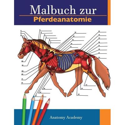 Malbuch zur Pferdeanatomie, Taschenbuch von Anatomy Academy, Muze Publishing, 978-1-914207-22-8