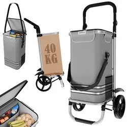 24MOVE® Einkaufstrolley VEHLO 3in1 Trolley faltbarer Einkaufswagen mit Kühlfach, grau