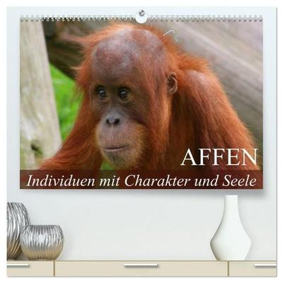Affen - Individuen mit Charakter und Seele (hochwertiger Premium Wandkalender 2027 DIN A2 quer), Kunstdruck in Hochglanz