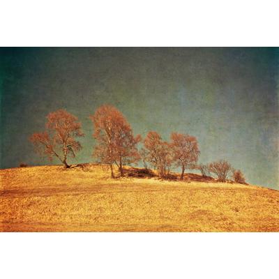 Fototapete PAPERMOON "BÄUME-VINTAGE NATUR LANDSCHAFT HERBST WALD WANDBILD XXL", bunt, B:3m L:2,23m, Vlies, Tapeten