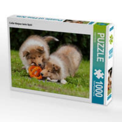 CALVENDO Puzzle Collie Welpen beim Spiel 1000 Teile Lege-Größe 64 x 48 cm Foto-Puzzle Bild von Sigrid Starick