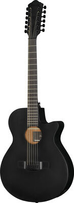Ibanez AEG1221-BOT Black Out