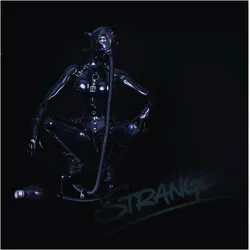 Strange, Fachbücher von The Agency For Strange Behaviour, The Agency, Stefan Skalbania, the, Agency