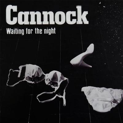 Waiting For The Night,1 Schallplatte - Cannock, Sonstige