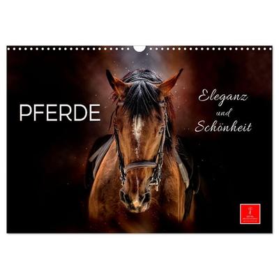 Eleganz und Schönheit - Pferde (Wandkalender 2026 DIN A3 quer), CALVENDO Monatskalender