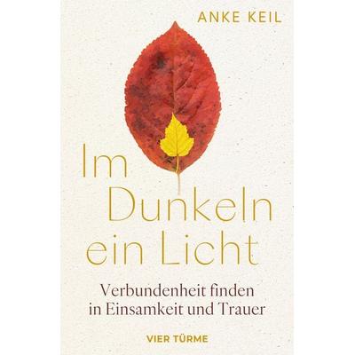 Im Dunkeln ein Licht, Gebundene Ausgabe von Anke Keil, Vier Türme, 978-3-7365-0759-3