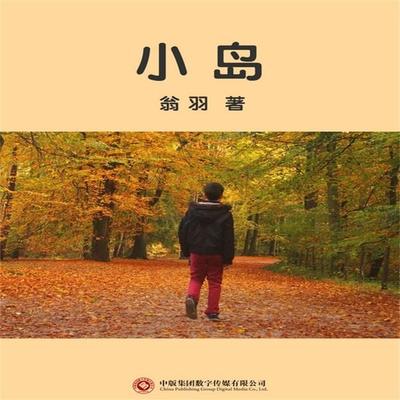 小岛 - 翁羽, Audio, 4071498255483