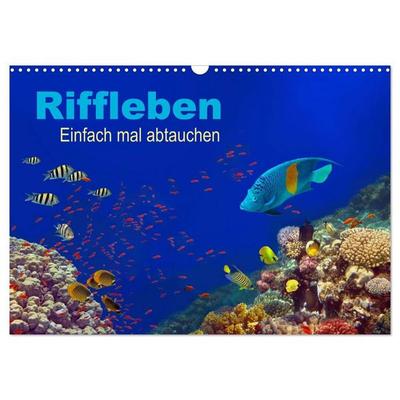 Riffleben - Einfach mal abtauchen (Wandkalender 2027 DIN A3 quer), CALVENDO Monatskalender