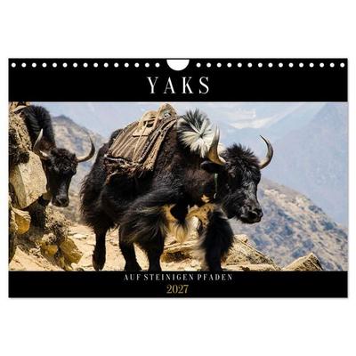 Yaks - auf steinigen Pfaden (Wandkalender 2027 DIN A4 quer), CALVENDO Monatskalender