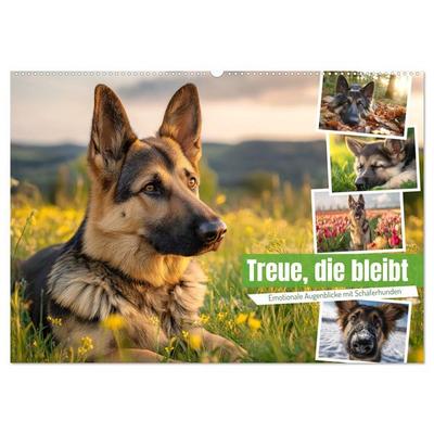 Treue, die bleibt. Emotionale Augenblicke mit Schäferhunden. (Wandkalender 2027 DIN A2 quer), CALVENDO Monatskalender