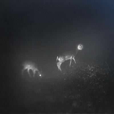 Bliss Signal - Bliss Signal & Mumdance & WIFE, Vinyl