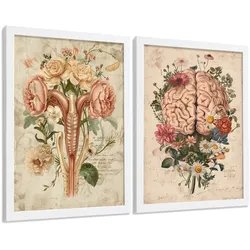 POSTER Set aus 2 Weibliche Anatomie Drucke und Wandbilder mit Gehirn und Gebärmutter Botanischer Retro Vintage Floraler Stil Größe Weißer Rahmen A4