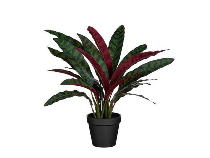 Mica Decorations kunstplant Calathea